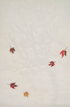 autumn maple back